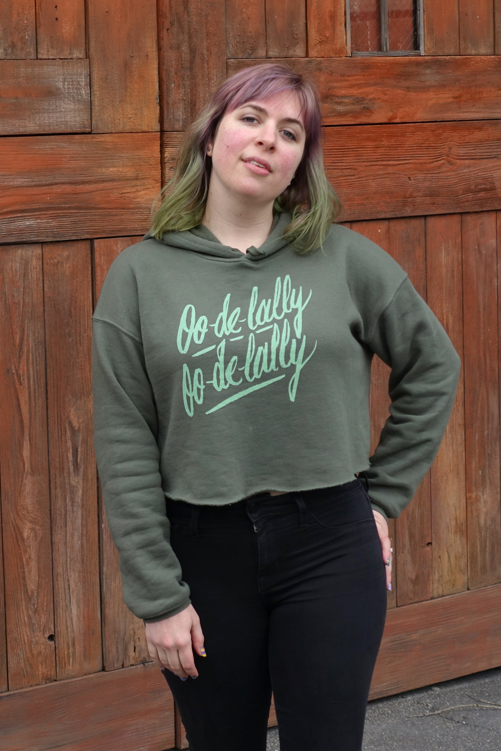 Robin Hood Inspired Crop Hoodie