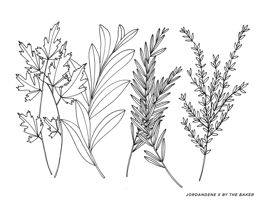 Spring Has Sprung Free Coloring Page