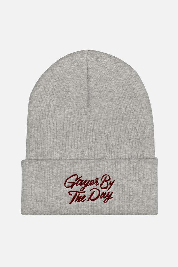 Gayer by the Day Cuffed Beanie | V.E. Schwab Official Collection