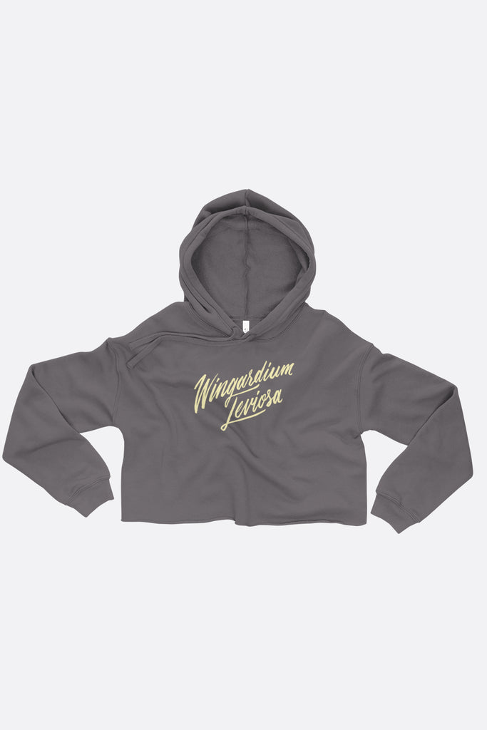 Leviosa Crop Hoodie