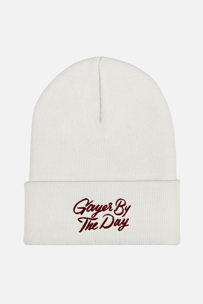 Gayer by the Day Cuffed Beanie | V.E. Schwab Official Collection