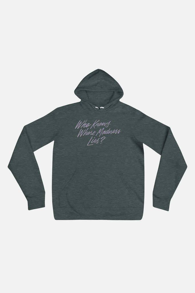 Where Madness Lies Unisex Hoodie | Don Quixote