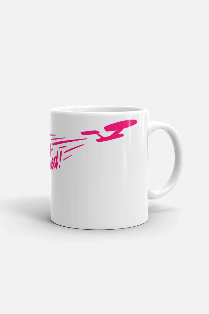 Let the Regulations Be Damned Mug