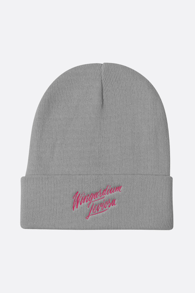 Wingardium Leviosa Beanie