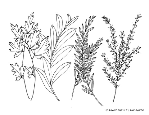 Spring Has Sprung Free Coloring Page